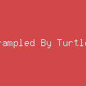 Trampled By Turtles