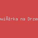 Wiewiórka na Drzewie