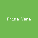 Artist Profile