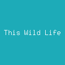 Artist Profile