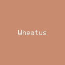 Artist Profile