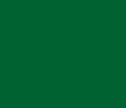 006131 - Fun Green Color Informations