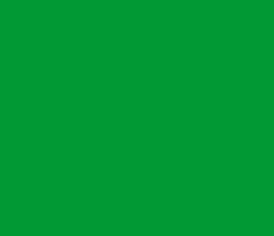 009933 - Fun Green Color Informations