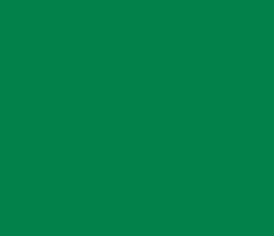 02824a - Fun Green Color Informations