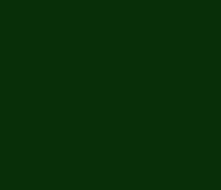 082f08 - Deep Forest Green Color Informations