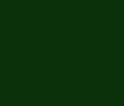 0a310a - Deep Forest Green Color Informations