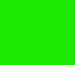 1de903 - Green Color Informations