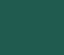 205b4f - Green Pea Color Informations