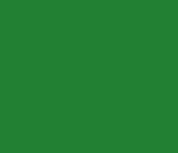 228033 - Forest Green Color Informations