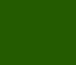 255b00 - Verdun Green Color Informations
