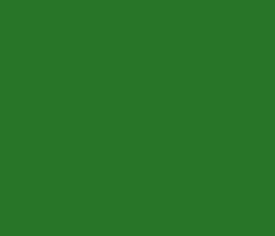 287528 - Forest Green Color Informations