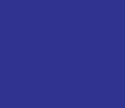 313390 - Cosmic Cobalt Color Informations