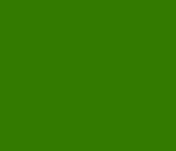 337a00 - Verdun Green Color Informations