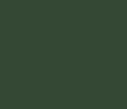 344834 - Lunar Green Color Informations