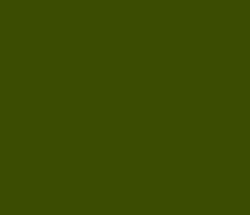 3b4c02 - Verdun Green Color Informations