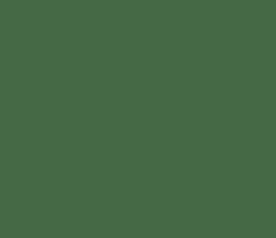 436a43 - Axolotl Color Informations