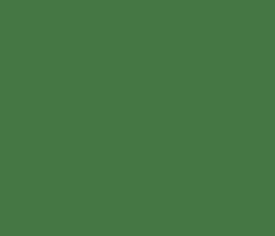 447744 - Fern Green Color Informations