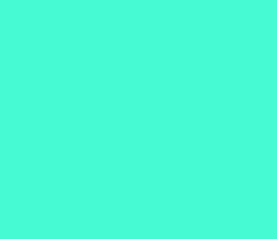 46fad4 - Aquamarine Color Informations