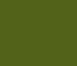 526319 - Fern Frond Color Informations