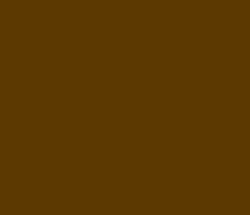 5b3900 - Saddle Brown Color Informations