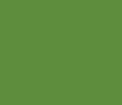 5e8b3d - Fern Green Color Informations