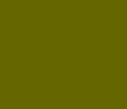 666600 - Verdun Green Color Informations