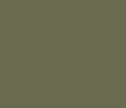 6a6b4e - Finch Color Informations