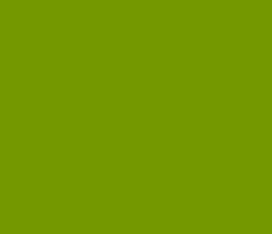 779900 - Limeade Color Informations
