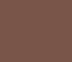 795548 - Roman Coffee Color Informations