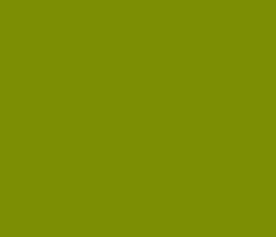 7e8e04 - Limeade Color Informations