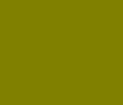 808000 - Olive Color Informations