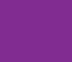 812c91 - Vivid Violet Color Informations