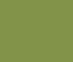 829349 - Asparagus Color Informations