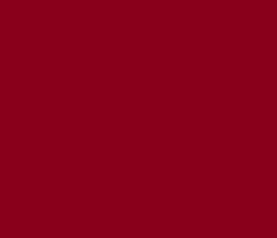 89001b - Burgundy Color Informations