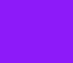 8d1af9 - Electric Violet Color Informations