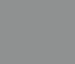 8f9191 - Oslo Gray Color Informations