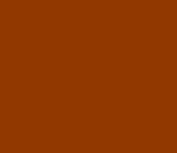 913800 - Brown Color Informations