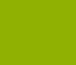 91b300 - Sheen Green Color Informations