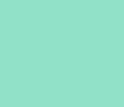 91e1c8 - Algae Green Color Informations