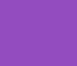 934cbf - Purple Plum Color Informations