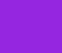 9526e0 - Purple Heart Color Informations