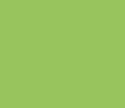 98c45d - Celery Color Informations