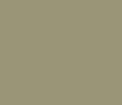 9b9577 - Gurkha Color Informations