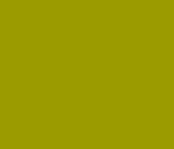 9b9b00 - Olive Color Informations