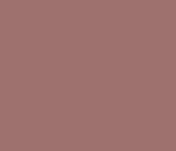 9d706e - Burnished Brown Color Informations