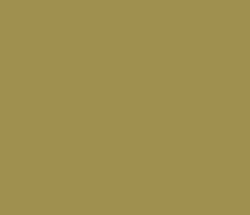 9f904f - Limed Oak Color Informations