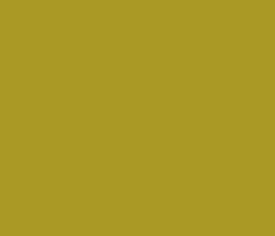 aa9922 - Lemon Ginger Color Informations