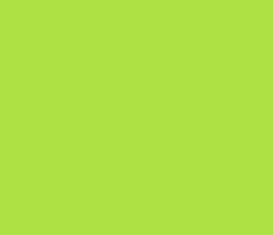 ade244 - Conifer Color Informations