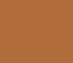 b06d3b - Brown Rust Color Informations