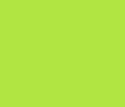 b1e542 - Conifer Color Informations
